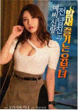 第九个黎明海报