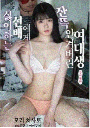 双城谜案海报